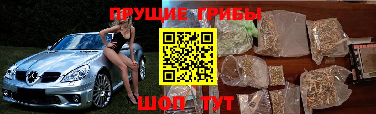 Галлюциногенные грибы мухоморы Калининград